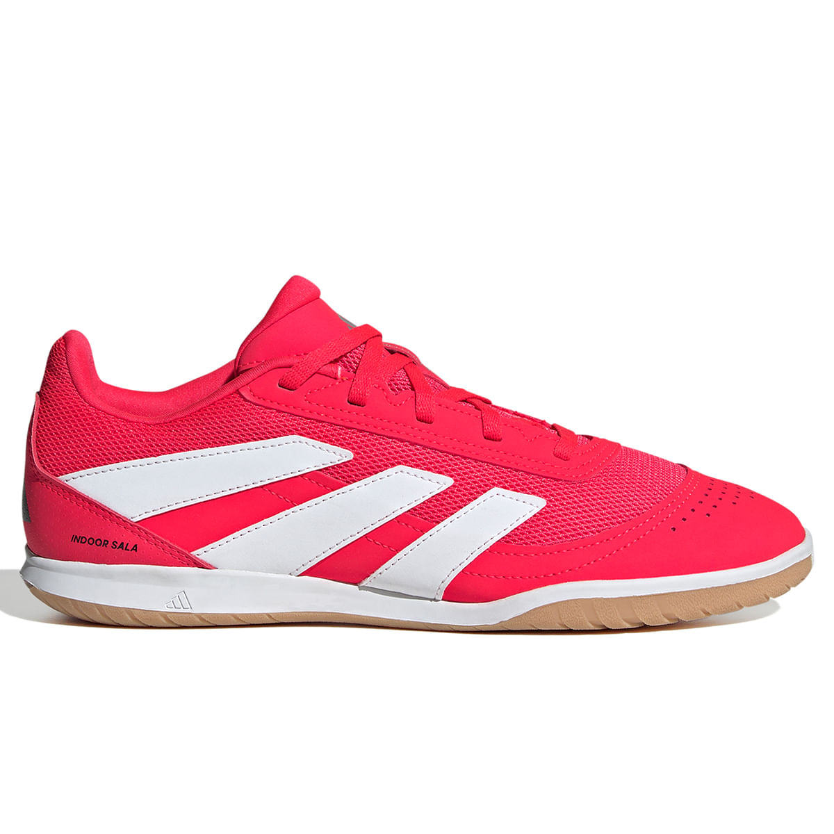 Futsal CALZADO Templo del Futbol